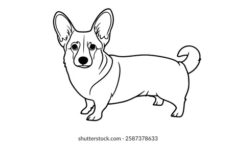 Corgi dog line drawing. Pembroke Welsh Corgi breed standing. Pet shop veterinary logo. Black outline illustration white background