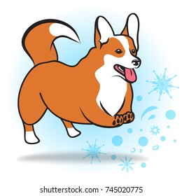 Corgi dog on a winter sky background. Suitable for Christmas and New Year card. Vector illustration.