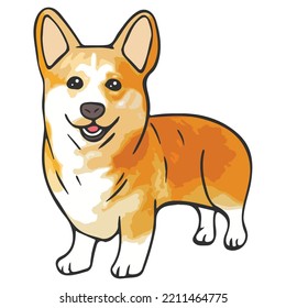 Corgi Dog Pet Colored Drawing