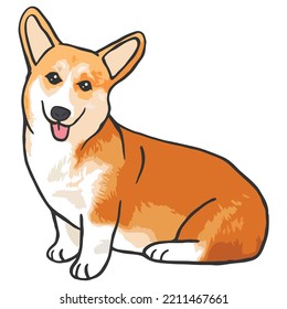 Corgi Dog Pet Colored Drawing