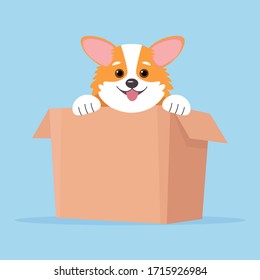 Corgi dog. Puppy in box, cute vector illustration in flat style