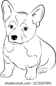 Corgi dog puppy logo icon  line style