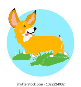 Corgi dog running on grass vector graphics