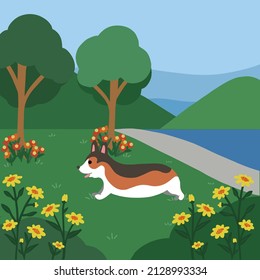 Corgi Dog Running in Park Illustration. Happy Dog Vector Illustration with Background