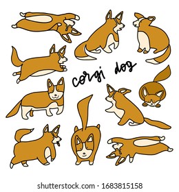 Corgi dog set. Vector objects. Element for design