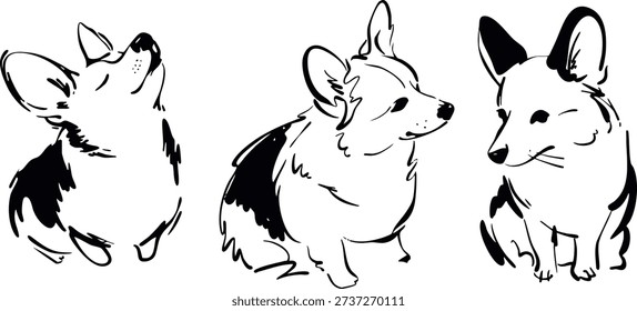 Corgi Dog Sketch Set