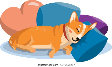 Corgi dog sleeping on the couch. Puppy fell asleep on the pillows. Cute cartoon Corgi with a heart