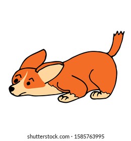 Corgi dog snuggled to the ground. Flat style, hand-drawn, doodle. Stock vector illustration. White isolated background.