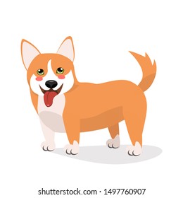 Corgi dog standing. cute flat vector illustration isolated on white. Happy dog Welsh Corgi breed. Lovely pet animal print