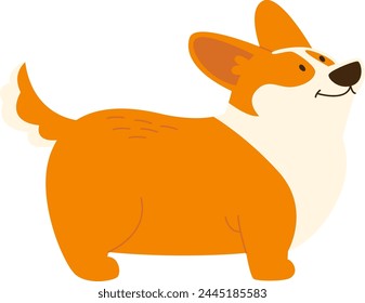 Corgi Hund stehende Vektorillustration