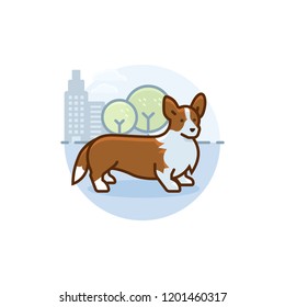 corgi dog with trees