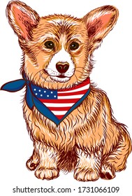 Corgi dog with usa bandana. Wall stickers