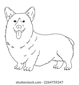 Corgi dog, vector cartoon cute outline illustration isolated on white background