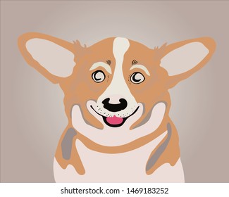 corgi dog  vector cartoon illustration