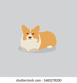 Corgi dog vector cartoon illustration. Cute friendly welsh corgi puppy, isolated on grey. Pets, animals, canine theme design element in contemporary simple flat style
