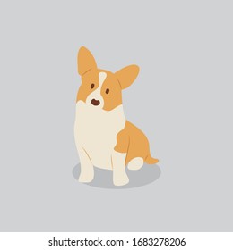 Corgi dog vector cartoon illustration. Cute friendly welsh corgi puppy, isolated on grey. Pets, animals, canine theme design element in contemporary simple flat style