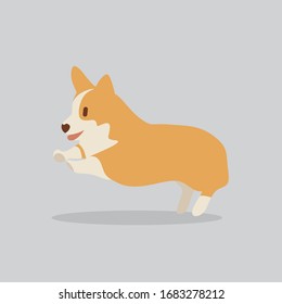 Corgi dog vector cartoon illustration. Cute friendly welsh corgi puppy, isolated on grey. Pets, animals, canine theme design element in contemporary simple flat style