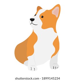 Corgi dog vector cartoon illustration. Cute friendly welsh corgi puppy, isolated on white background. Great for icon, symbol, card, children's book. 