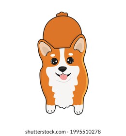 Corgi dog vector cartoon illustration. Cute friendly welsh corgi puppy, isolated on white background. Great for icon, symbol, card, children's book