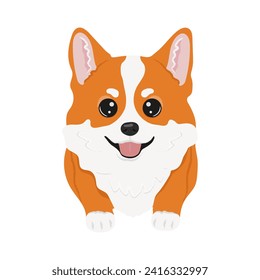 Corgi dog vector illustration. Cute friendly welsh corgi puppy, isolated on white background. Great for icon, symbol, card, children's book