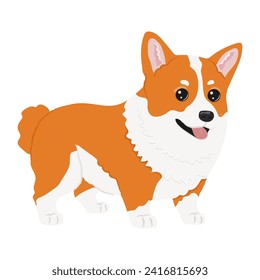Corgi dog vector illustration. Cute friendly welsh corgi puppy, isolated on white background. Great for icon, symbol, card, children's book