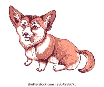 Corgi dog. Vector illustration isolated on white.