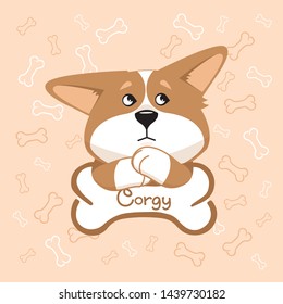 Corgi dog waiting when she will give another bone
