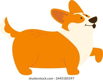 Corgi Dog Walking Vektorillustration