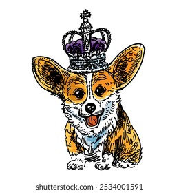 Corgi dog wearing crown, drawing, vector graphics, illustration, eps