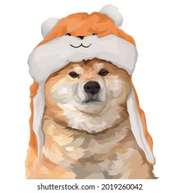 Corgi dog wearing fox hat