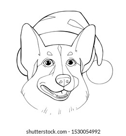 The Corgi dog in winter Santa hat. Illustration for coloring book