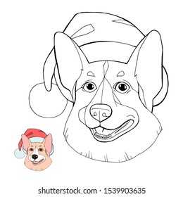 The Corgi dog in winter Santa hat. Illustration for coloring book