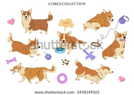 Corgi dogs in different situations flat color vector characters set. Playful puppies isolated on white. Friendly pets cartoon style illustration for web graphic design. Sticker collection