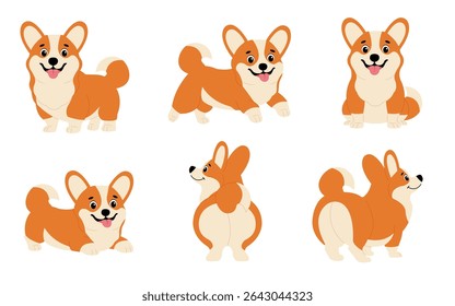 Corgi dogs set. Cute corgis in different poses. Corgi sitting, running, standing. Cute animals.