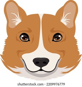 Corgi face icon. Cute cartoon dog head