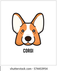 Corgi face isolated on white background