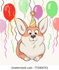 Corgi, festive hat, balloons