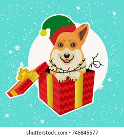 Corgi Head in Elf Christmas Hat decor and Gift Box. Vector Illustration.