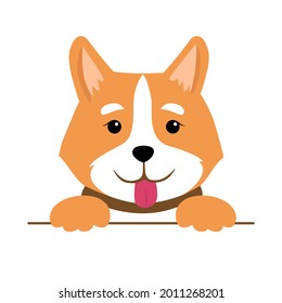 Corgi head on a white background. Vector illustration with cheerful dog smiling with tongue out. Perfect for poster, notebook, decoration of a children's room or pet store