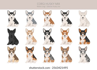 Corgi Husky mix clipart. Welsh Corgi Siberian Husky mix. Different coat colors set.  Vector illustration