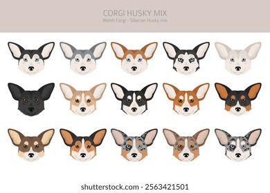 Corgi Husky mix clipart. Welsh Corgi Siberian Husky mix. Different coat colors set.  Vector illustration