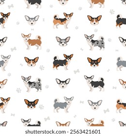 Corgi Husky mix seamless pattern. Welsh Corgi Siberian Husky mix. Different coat colors set.  Vector illustration