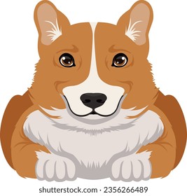 Corgi icon. Cartoon welsh breed. Cute dog