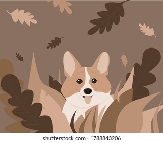 Corgi in the leaves in the fall