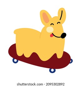 Corgi on skateboard. Vector illustration on white background.