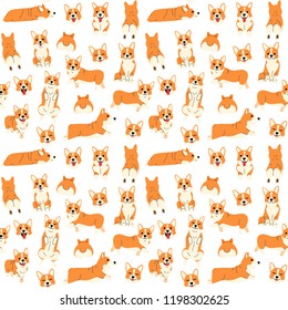 Corgi Pattern,dog Poses,dog Breed