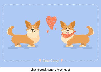 Corgi Pembroke Set. Two friendly dogs. Corgi are sympathetic to each other. Cute dog faces. A dog is a friend of man.