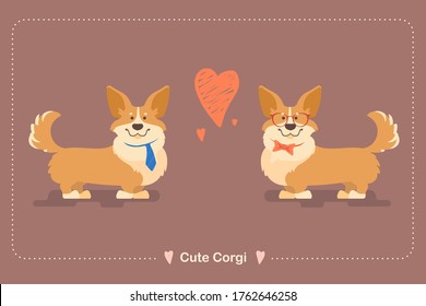 Corgi Pembroke Set. Two friendly dogs. Corgi are sympathetic to each other. Cute dog faces. A dog is a friend of man.