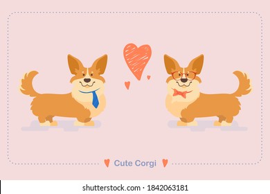 Corgi Pembroke. Two friendly dogs. Corgi are sympathetic to each other. Cute dog faces. A dog is a friend of man.
