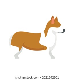 Corgi pet icon. Flat illustration of corgi pet vector icon isolated on white background